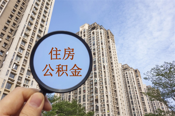 莱芜深圳公积金（深圳公积金首页）